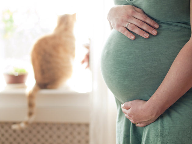 Can you catch toxoplasmosis from your cat while pregnant?