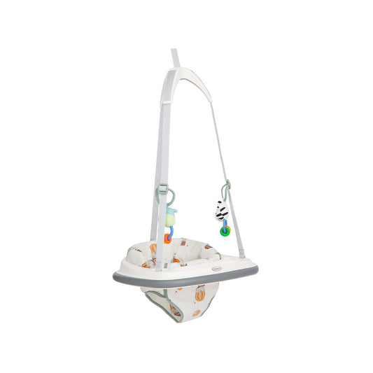Graco Bumper Jumper Doorway Jumper