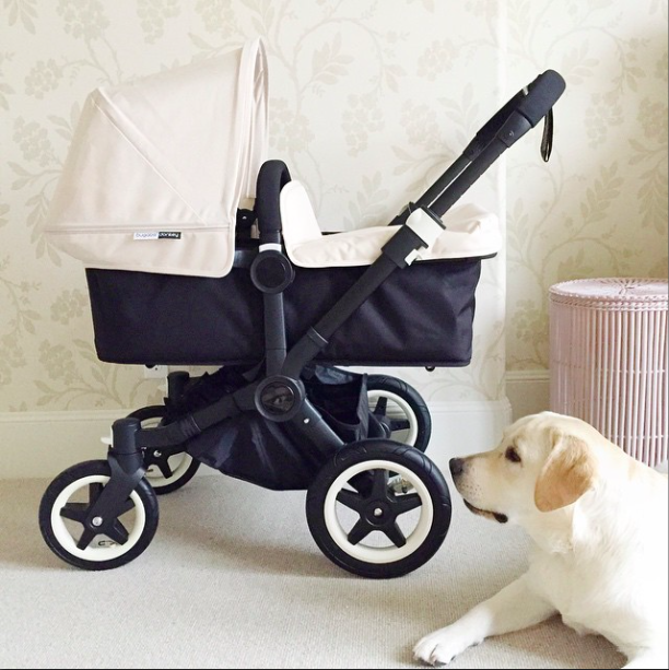 Bugaboo Buffalo Classic+ Pushchair Off White on Black Chassis